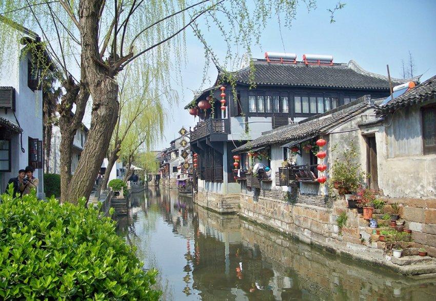 君有易道茶|喝好两类茶,天寒人不寒